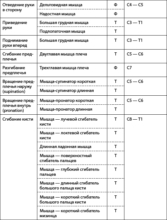 Скульптурная гимнастика для мышц, суставов и внутренних органов - _04.png