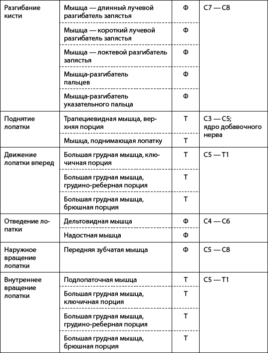 Скульптурная гимнастика для мышц, суставов и внутренних органов - _05.png