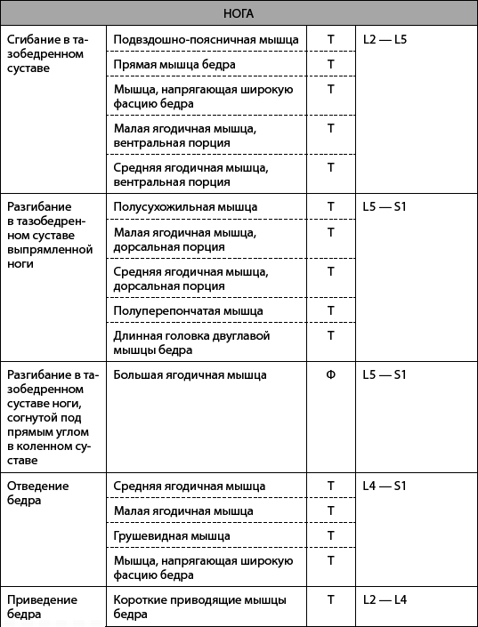 Скульптурная гимнастика для мышц, суставов и внутренних органов - _06.png