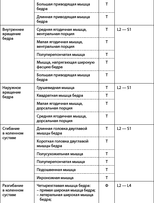 Скульптурная гимнастика для мышц, суставов и внутренних органов - _07.png