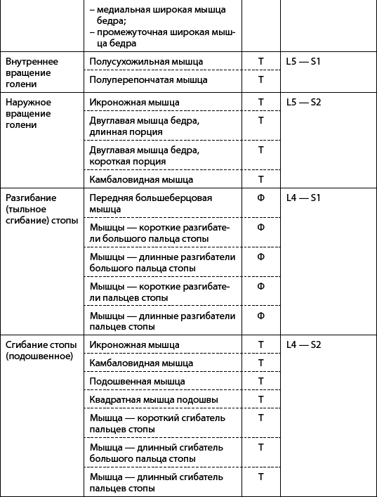 Скульптурная гимнастика для мышц, суставов и внутренних органов - _08.png