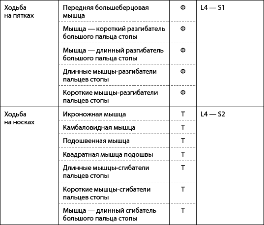 Скульптурная гимнастика для мышц, суставов и внутренних органов - _09.png