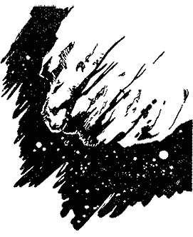 Звездоплаватели, Книга 1 (220 дней на звездолете)
 - image017.jpg_0