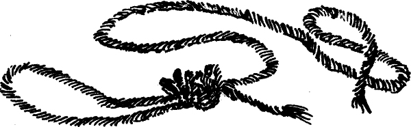 Стихотворения в прозе (с илл,) - i_018.jpg