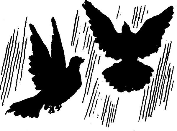 Стихотворения в прозе (с илл,) - i_029.jpg