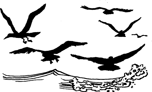 Стихотворения в прозе (с илл,) - i_032.jpg