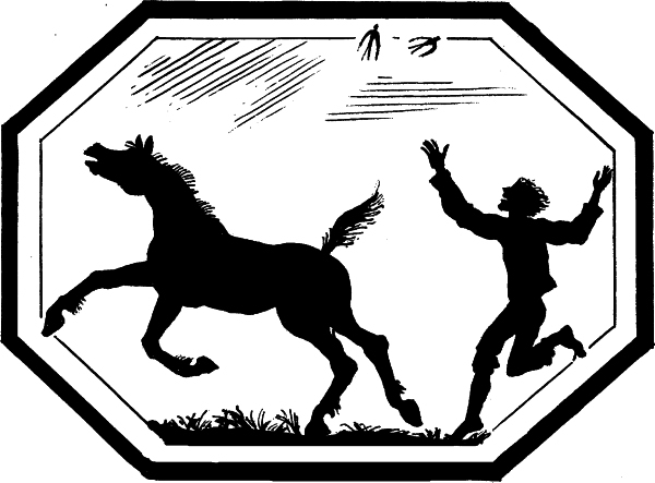 Стихотворения в прозе (с илл,) - i_041.jpg