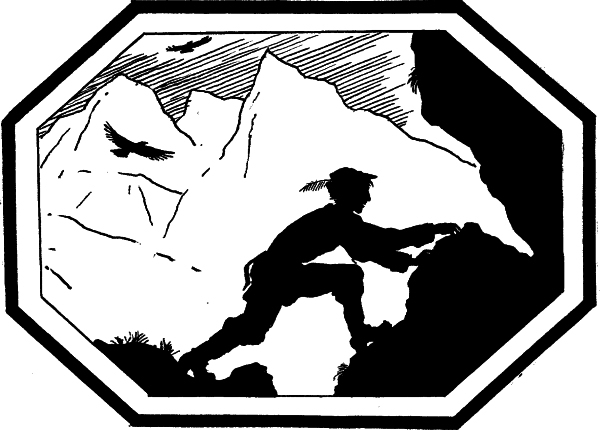 Стихотворения в прозе (с илл,) - i_044.jpg