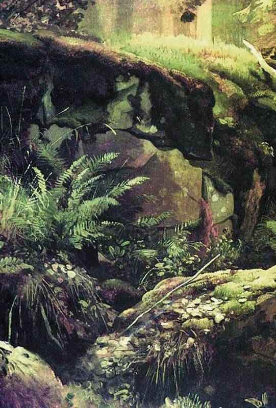 Православная Россия. Богомолье. Старый Валаам (сборник) - i_069.jpg