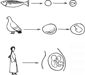 Один раз на всю жизнь. Беседы со старшеклассниками о браке, семье, детях - _36.png