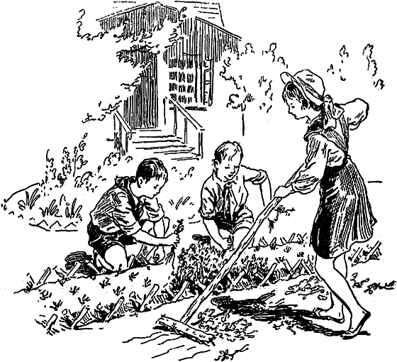 Рассказы о цветах - i_070.png