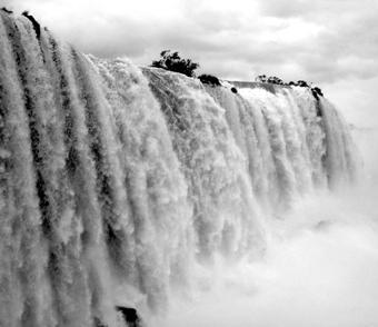 Любов і піраньї - pic_14.jpg