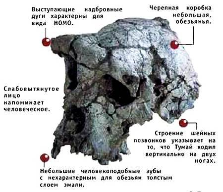 Юный техник, 2002 № 11 - _16.jpg