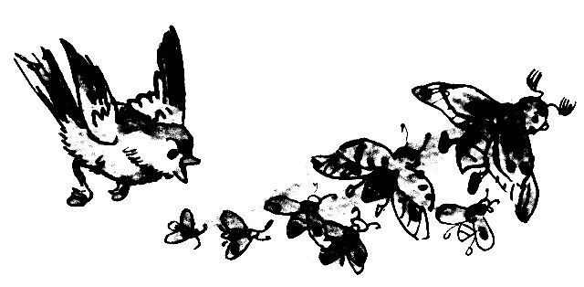 Приключения Кольки Кочерыжкина - pic_32.jpg