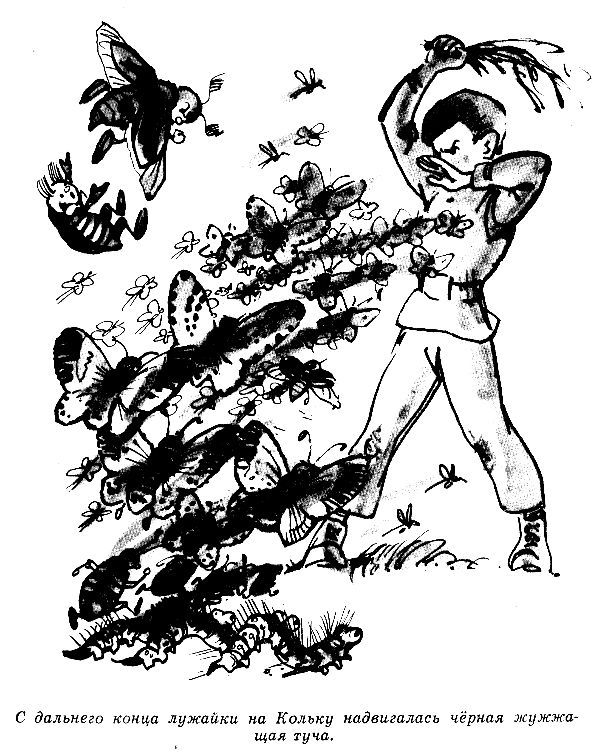 Приключения Кольки Кочерыжкина - pic_33.jpg
