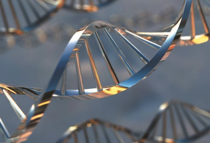 Занимательная ДНК-генеалогия. Новая наука дает ответы - i_013.jpg