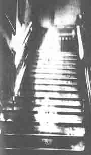 Мир наизнанку - pic_49.jpg