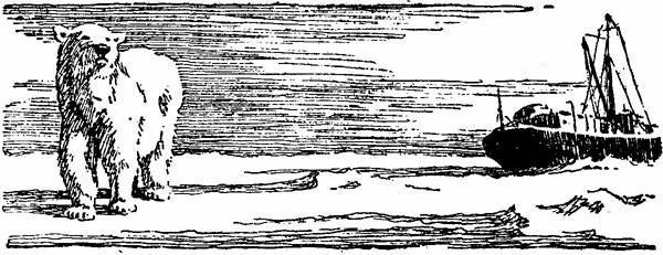 Три зимовки во льдах Арктики - _31.jpg