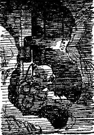 Три зимовки во льдах Арктики - _19.jpg