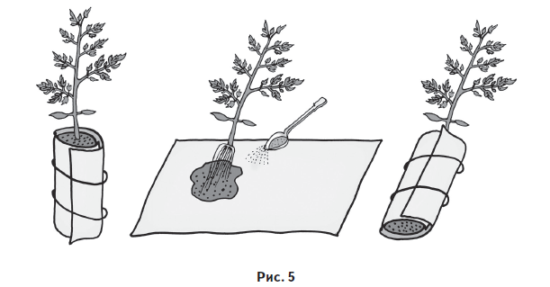 Ваш огород. Самое понятное руководство в иллюстрациях - i_007.png