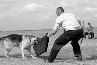 Атакующие собаки. Мифы и реальность современной дрессировки - i_078.jpg