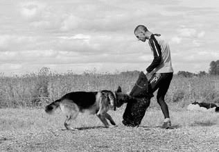 Атакующие собаки. Мифы и реальность современной дрессировки - i_081.jpg