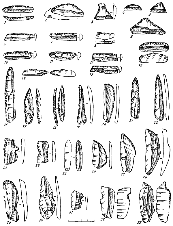 Палеолит СССР - i_126.png