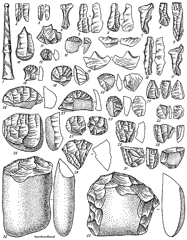 Палеолит СССР - i_133.png