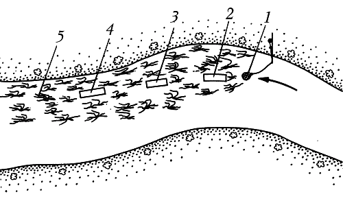 Всё о современной рыбалке. Полная энциклопедия - _009.png