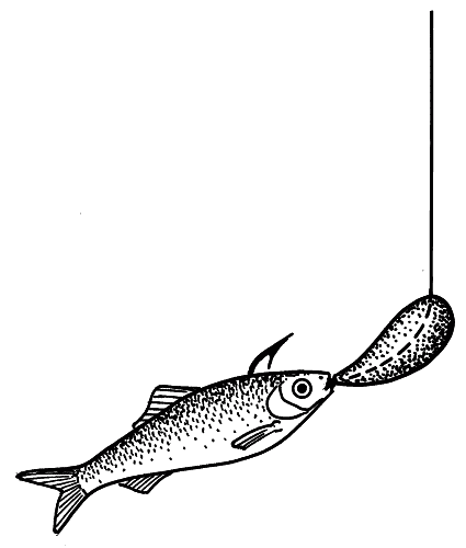 Всё о современной рыбалке. Полная энциклопедия - _066.png