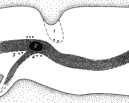 Всё о современной рыбалке. Полная энциклопедия - _091.png