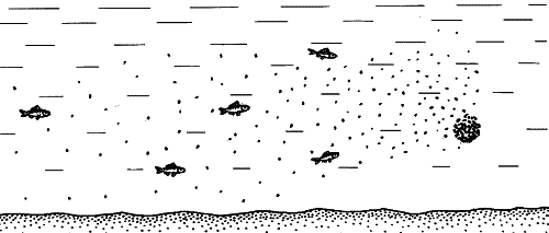 Всё о современной рыбалке. Полная энциклопедия - _097.png