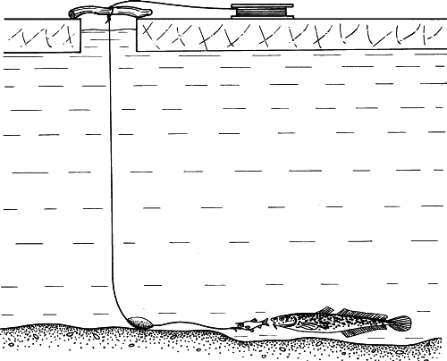 Всё о современной рыбалке. Полная энциклопедия - _114.png