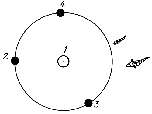 Всё о современной рыбалке. Полная энциклопедия - _125.png