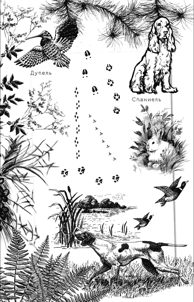 Рассказы о природе. С вопросами и ответами для почемучек - i_002.png