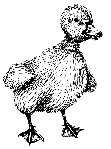 Рассказы о природе. С вопросами и ответами для почемучек - i_003.png