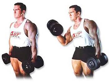 Силовой тренинг Мах-ОТ. Полный образовательный курс - _175.jpg_0