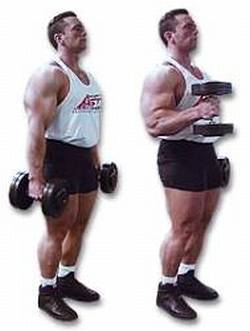 Силовой тренинг Мах-ОТ. Полный образовательный курс - _180.jpg_0