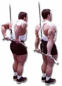 Силовой тренинг Мах-ОТ. Полный образовательный курс - _189.jpg_0