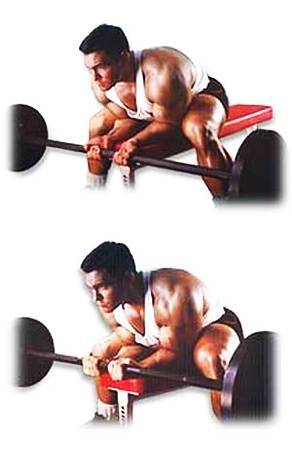 Силовой тренинг Мах-ОТ. Полный образовательный курс - _190.jpg_0