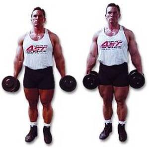 Силовой тренинг Мах-ОТ. Полный образовательный курс - _194.jpg_0