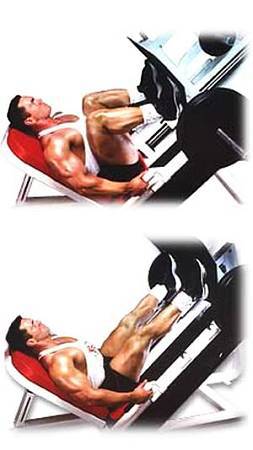 Силовой тренинг Мах-ОТ. Полный образовательный курс - _223.jpg_0