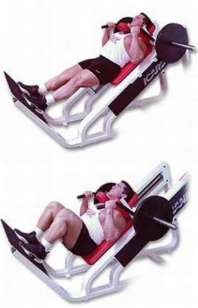 Силовой тренинг Мах-ОТ. Полный образовательный курс - _225.jpg_0