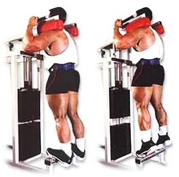 Силовой тренинг Мах-ОТ. Полный образовательный курс - _231.jpg_0