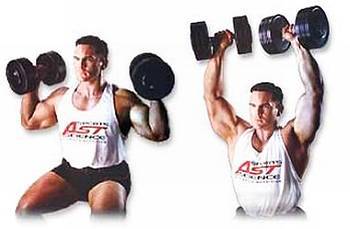 Силовой тренинг Мах-ОТ. Полный образовательный курс - _241.jpg_1