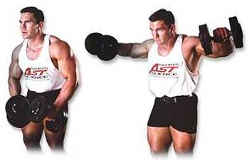 Силовой тренинг Мах-ОТ. Полный образовательный курс - _243.jpg_0