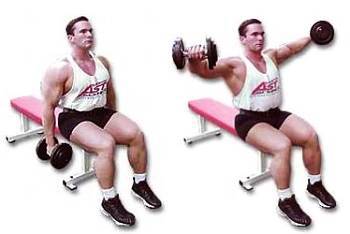 Силовой тренинг Мах-ОТ. Полный образовательный курс - _247.jpg_0