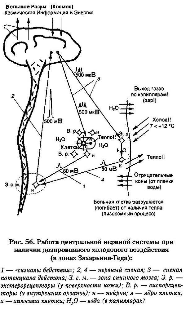 Новое - небывалое. Научность идей Порфирия Иванова - _10.jpg