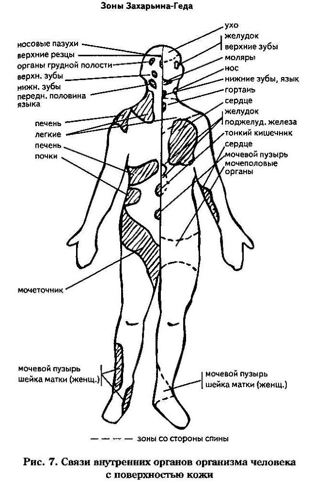 Новое - небывалое. Научность идей Порфирия Иванова - _12.jpg