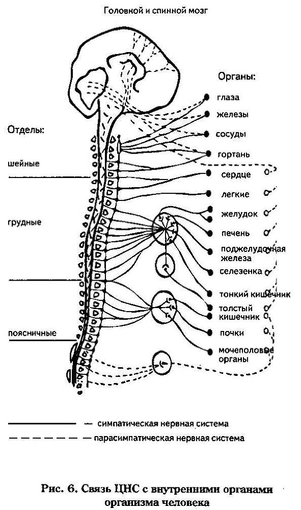 Новое - небывалое. Научность идей Порфирия Иванова - _11.jpg